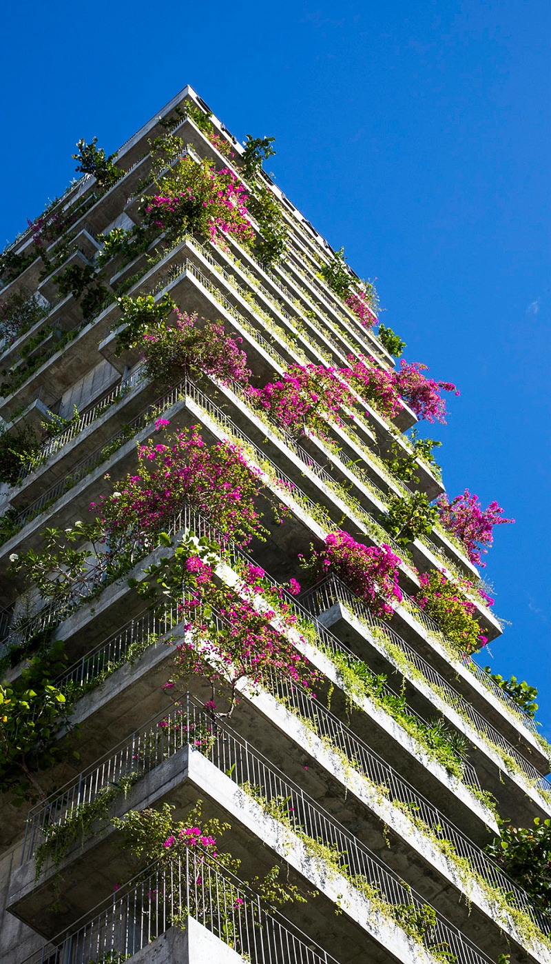 艺加酒店设计为您分享： 哥斯达黎加游牧酒店：U型平面上的开放公共生活空间